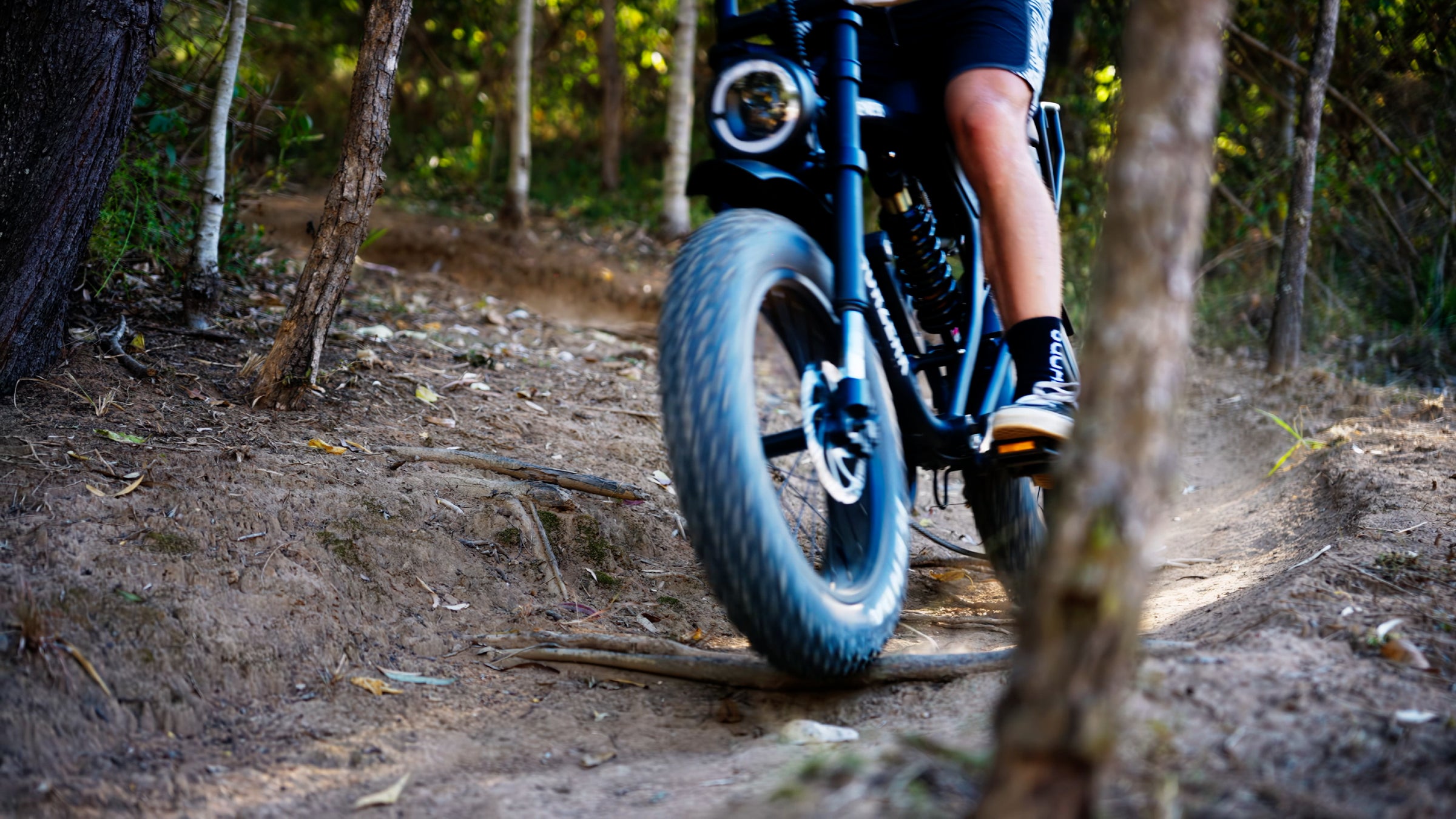 Electric Bikes