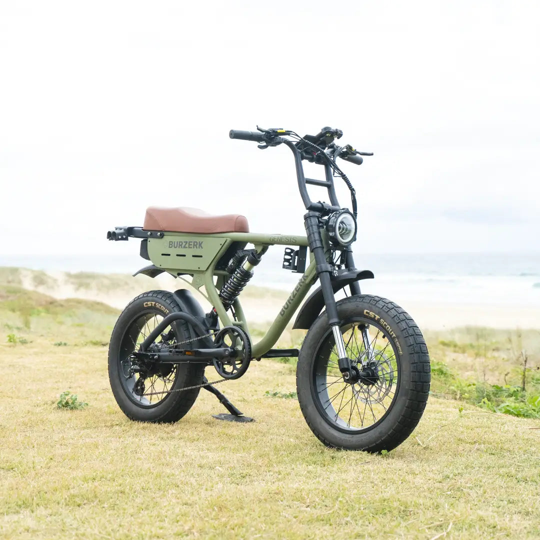 Step Over Electric Bikes