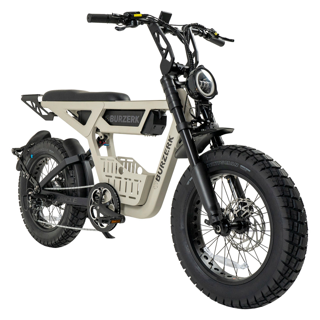 Oracle [V1] Electric Bike